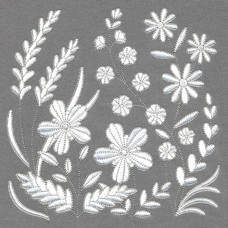 Lovely Wildflowers in Bloom