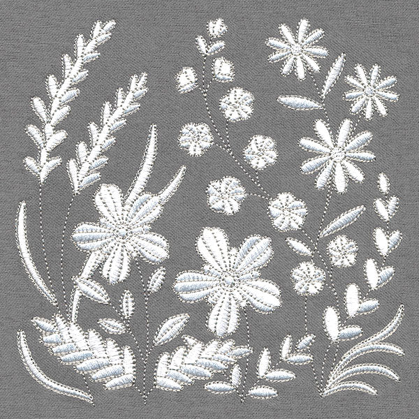 Lovely Wildflowers in Bloom