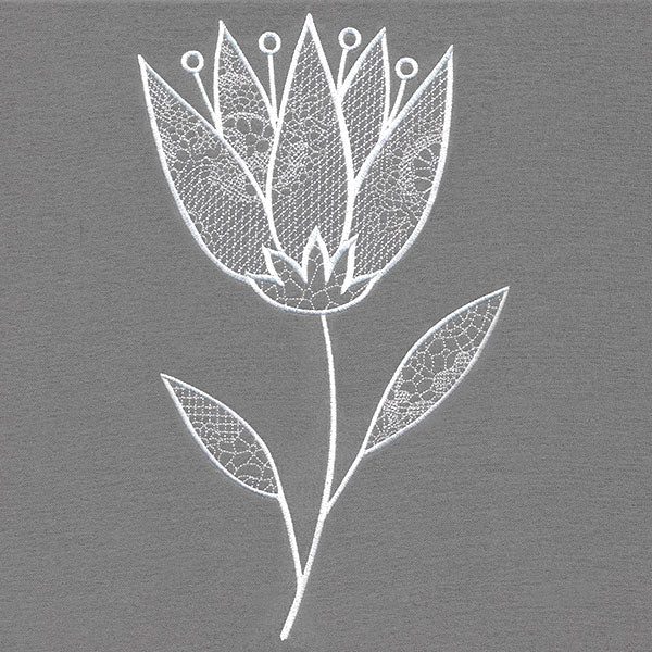 Elegant Beauty Flower