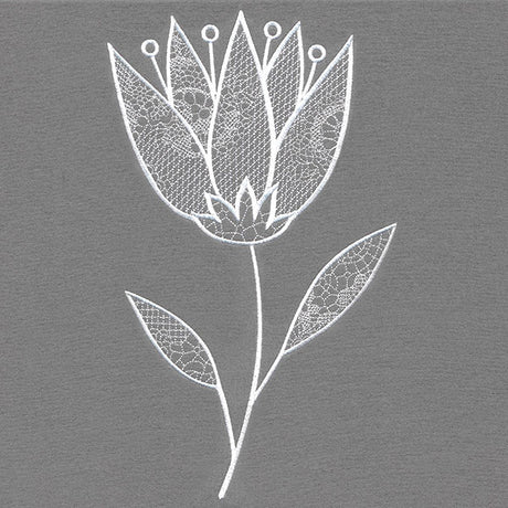 Elegant Beauty Flower