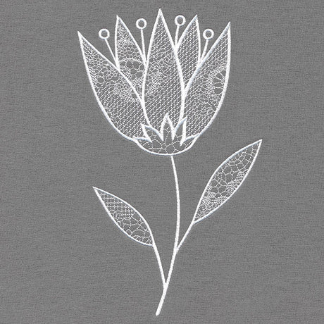 Elegant Beauty Flower