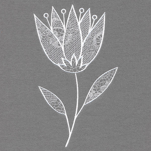 Elegant Beauty Flower