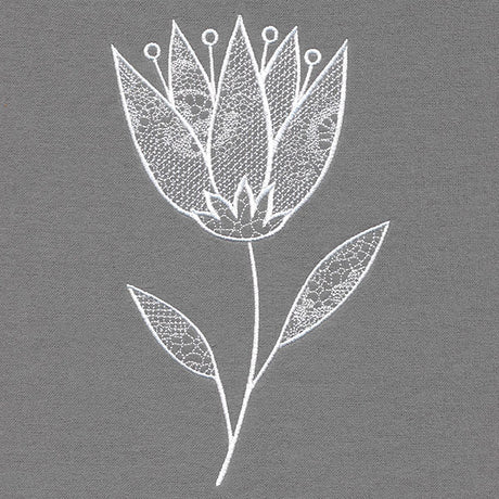 Elegant Beauty Flower