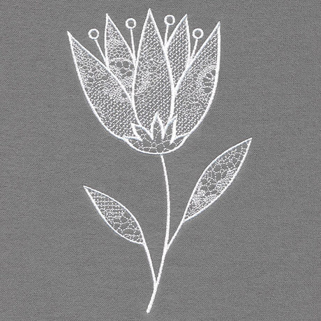 Elegant Beauty Flower