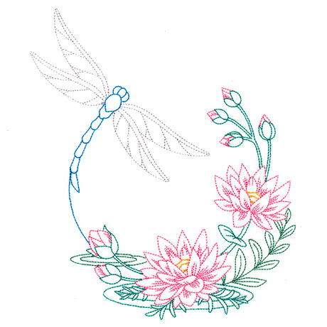 Water Lily Blooms Dragonfly