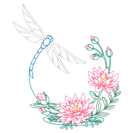 Water Lily Blooms Dragonfly