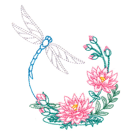 Water Lily Blooms Dragonfly