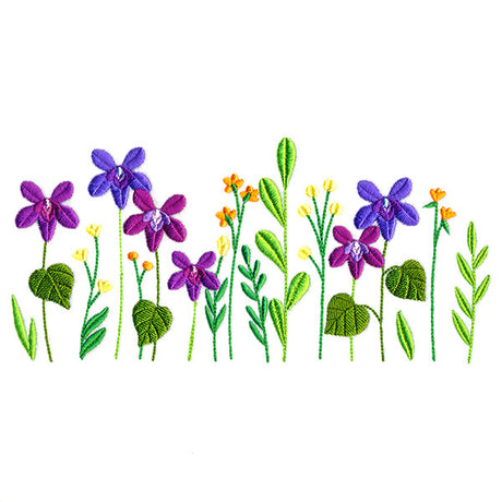 Dainty Wood Violet Border