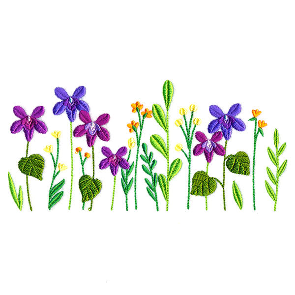 Dainty Wood Violet Border