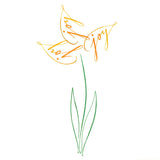 Garden of the Heart - Joy