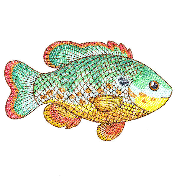 Charming Northwoods Fish