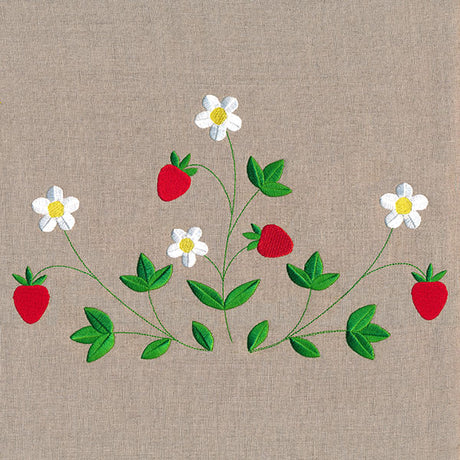 Fresh Strawberries in Bloom Feature