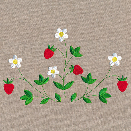 Fresh Strawberries in Bloom Feature