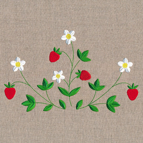 Fresh Strawberries in Bloom Feature