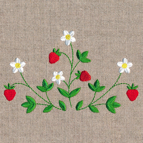 Fresh Strawberries in Bloom Feature