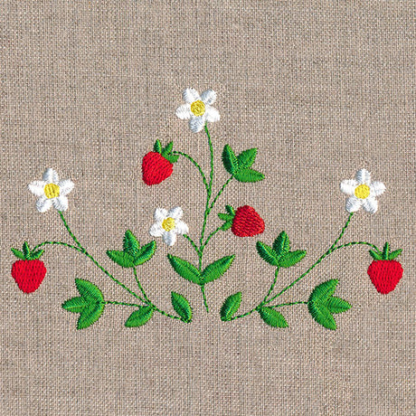 Fresh Strawberries in Bloom Feature