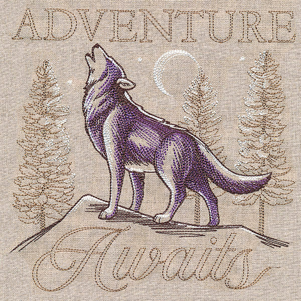 Adventure Awaits Medley