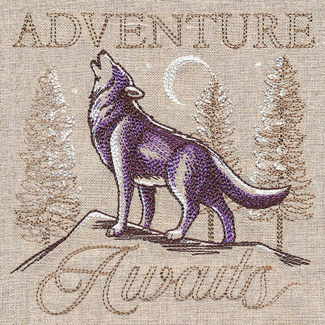 Adventure Awaits Medley