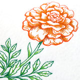 Wild Blooms - Marigold