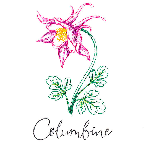 Wild Blooms - Columbine