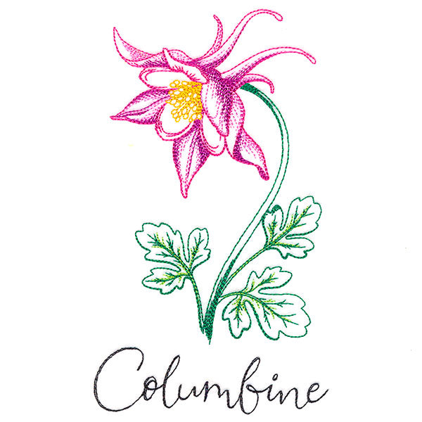 Wild Blooms - Columbine