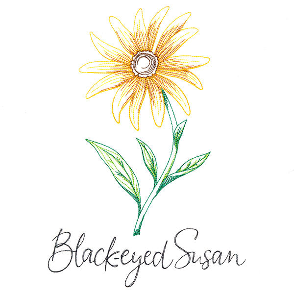 Wild Blooms - Black-Eyed Susan