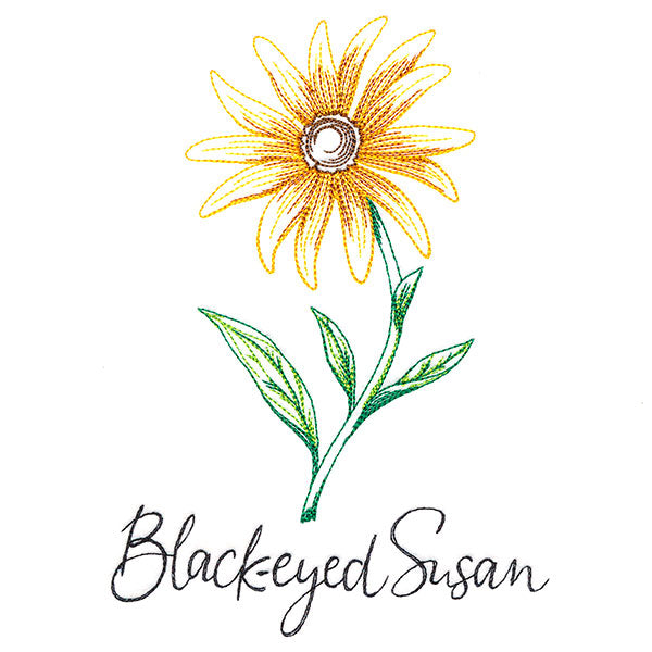 Wild Blooms - Black-Eyed Susan