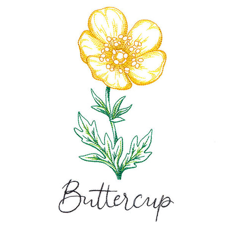 Wild Blooms - Buttercup