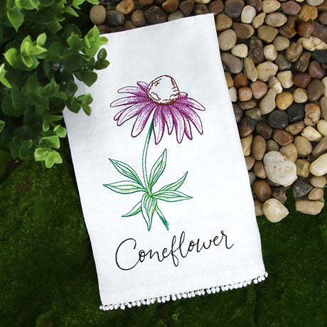 Wild Blooms - Coneflower