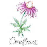 Wild Blooms - Coneflower