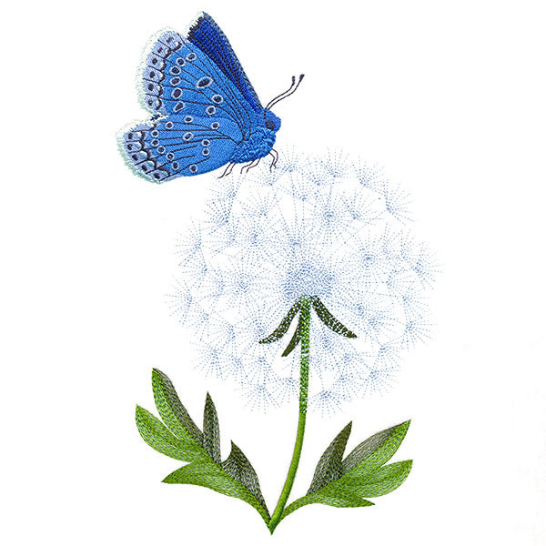 Blue Butterfly with Dandelion