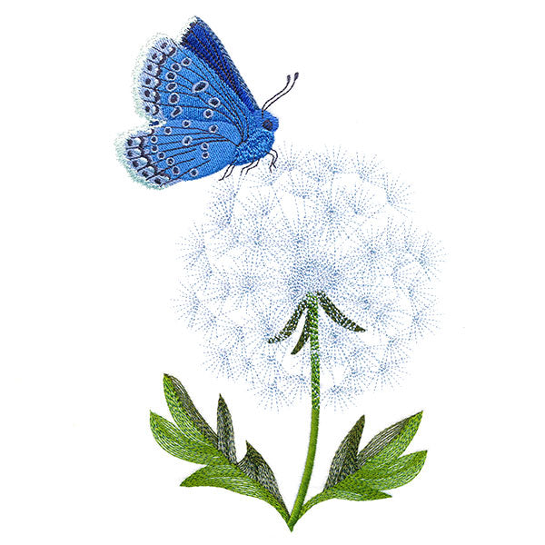 Blue Butterfly with Dandelion
