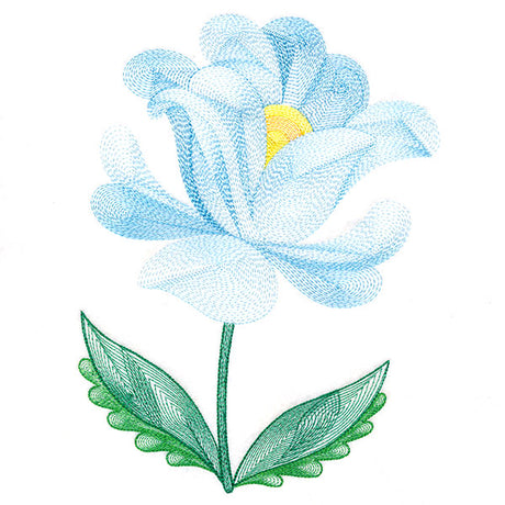 Soft and Lovely Bloom