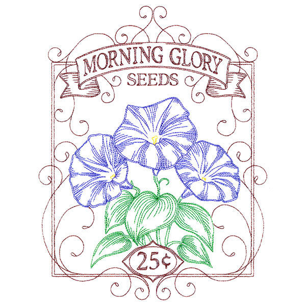 Morning Glory Seed Packet