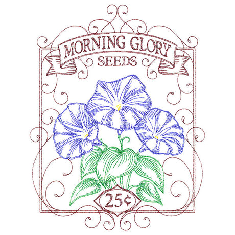 Morning Glory Seed Packet