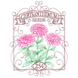 Chrysanthemum Seed Packet