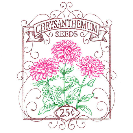 Chrysanthemum Seed Packet