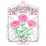 Chrysanthemum Seed Packet