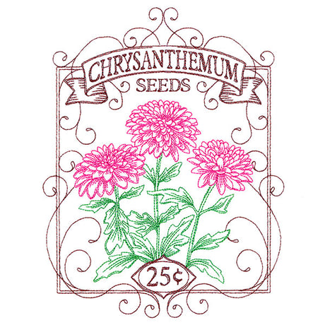 Chrysanthemum Seed Packet
