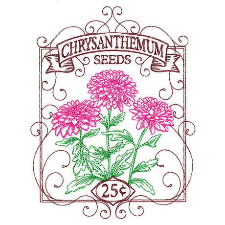 Chrysanthemum Seed Packet