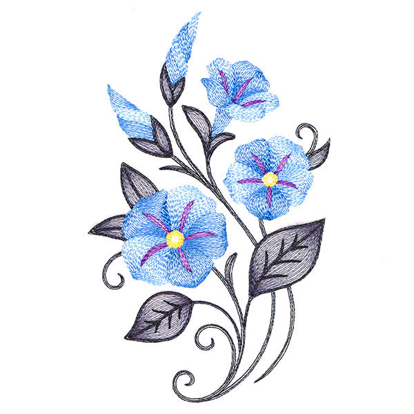 Flourishing Bouquet - Morning Glories