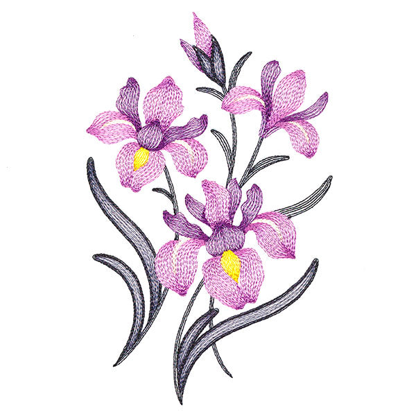 Flourishing Bouquet - Irises