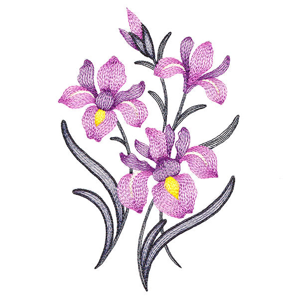 Flourishing Bouquet - Irises