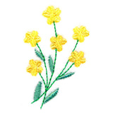 Summer Delights Accent