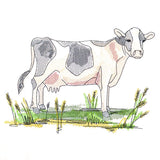Classic Country Cow