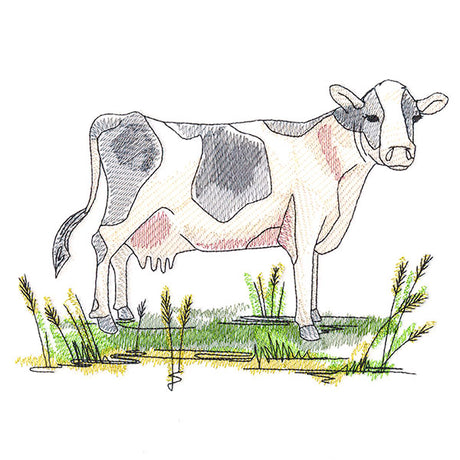 Classic Country Cow