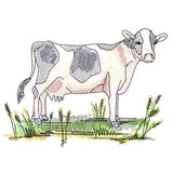 Classic Country Cow