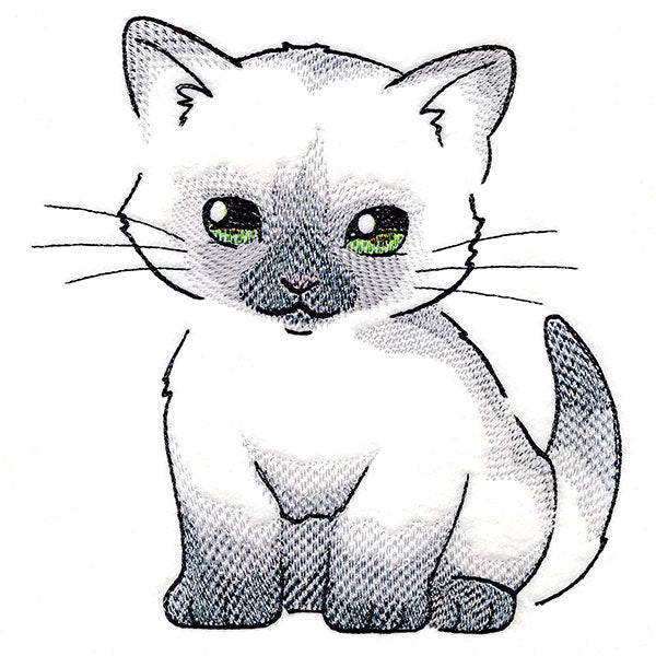 Snuggly Woodland Kitty