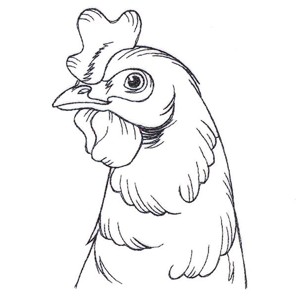 Charming Chicken Pocket Peeker