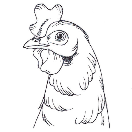 Charming Chicken Pocket Peeker